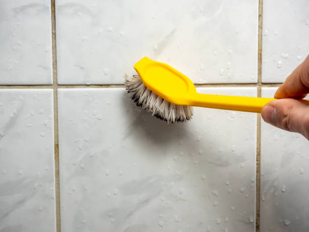 Best Home Mold Removal  in Charlotte, TX