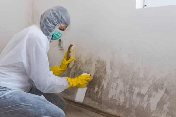 Best Mold Testing  in Charlotte, TX