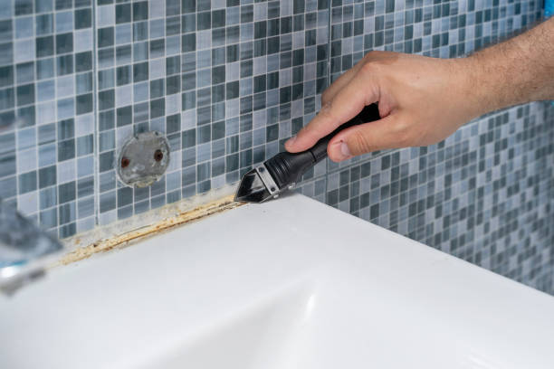 Best Office Mold Removal Services  in Charlotte, TX
