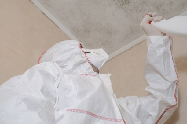 Best Toxic Mold Removal  in Charlotte, TX