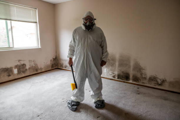 Best Commercial Mold Removal  in Charlotte, TX
