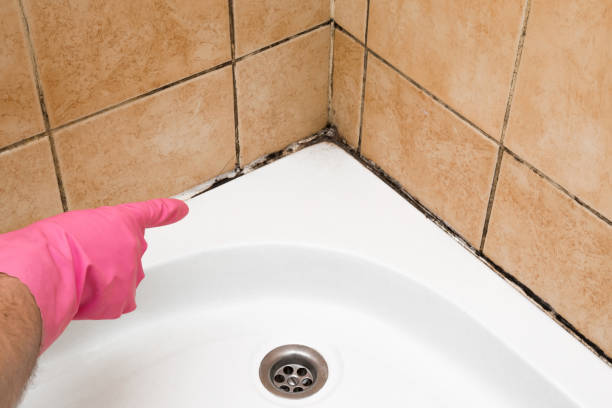Best Mold Remediation Services  in Charlotte, TX